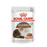 ROYAL CANIN Ageing 12+  en sauce 12x85g