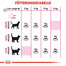 ROYAL CANIN Exigent Savour Sensation 10 kg + 2 kg gratuito