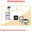 ROYAL CANIN Mainecoon 12 x 85 g