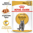 ROYAL CANIN British Shorthair Pâtée 12x85 g