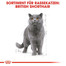 ROYAL CANIN British Shorthair 85 g bustina 12 x 85 g