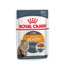 ROYAL CANIN Intense BEAUTY en sauce 85 g x 12