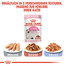 ROYAL CANIN Kitten Bocconcini in salsa 85 g x 12