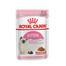 ROYAL CANIN Kitten Instinctive pâtée en sauce 85 g x 12