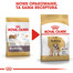 ROYAL CANIN Bulldog Adult karma sucha dla psów dorosłych rasy bulldog 3 kg