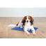 TRIXIE Matelas rafraîchissant 100 x 60 cm bleu