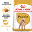 ROYAL CANIN Poodle adult 0.5 kg karma sucha dla psów dorosłych rasy pudel miniaturowy