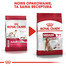 ROYAL CANIN Medium adult 7+ 10 kg sucha karma dla psów powyżej 7 roku życia, ras średnich