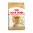 ROYAL CANIN Yorkshire Terrier Adult 8+ 0,5 kg