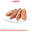 ROYAL CANIN Dermacomfort 12 x 85 g