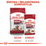 ROYAL CANIN Medium ageing 10+ 10 x 140 g