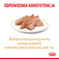 ROYAL CANIN Shih Tzu Adult Loaf 12 x 85 g