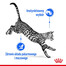 ROYAL CANIN Indoor sterilised paté 12x85 g
