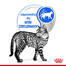 ROYAL CANIN Indoor sterilised paté 12x85 g