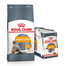 ROYAL CANIN Hair&Skin Care 10 kg +  CANIN Intense BEAUTY w sosie 85 g x 12