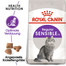 ROYAL CANIN Regular Sensible 33 Aliment sec pour chats adultes à l'appareil digestif sensible 20 kg (2x10 kg)