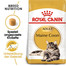 ROYAL CANIN Maine Coon Adult Aliments secs pour chats Maine Coon adultes 20 kg (2x10 kg)