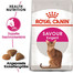 ROYAL CANIN Exigent Savour 35/30 Aliments secs pour chats adultes difficiles 20 kg (2x10 kg)