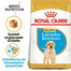 ROYAL CANIN Labrador Retriever Puppy Junior nourriture sèche pour chiots jusqu'à 15 mois, race labrador retriever 24 kg (2 x 12 kg)