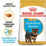 ROYAL CANIN Yorkshire Terrier Junior Aliment sec pour chiots jusqu'à 10 mois de race yorkshire terrier 15 kg (2x7.5 kg)