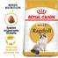 ROYAL CANIN Ragdoll adult 2 x 10 kg