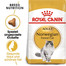 ROYAL CANIN Norvegien 2 x 10 kg