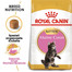 ROYAL CANIN Maine Coon Kitten 2 x 10 kg