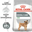 ROYAL CANIN CCN Mini Dental Care Aliment sec pour petites races adultes pour réduire la formation de tartre 16 kg (2x8 kg)