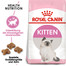 ROYAL CANIN Kitten 20 kg (2 x 10 kg) karma sucha dla kociąt od 4 do 12 miesiąca życia
