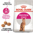 ROYAL CANIN Protein Exigent 42 Aliment sec pour chats adultes difficiles, basé sur la teneur en protéines 20 kg (2x10 kg)