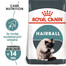 ROYAL CANIN Hairball Care 10 kg + mokra karma Intense BEAUTY w sosie 85 g x 12