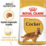 ROYAL CANIN Cocker adult 2 x 12 kg
