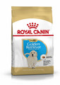 ROYAL CANIN Golden retriever junior 12 kg -  spécialement conçu pour un Chiot Golden Retriever, de 2 à 15 mois.