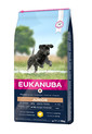 EUKANUBA Developing Junior Large Breed Chicken - croquettes pour chiens junior de grandes races Riches en poulet frais - 15kg