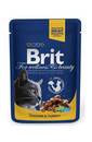 BRIT Premium Adult Chicken and Turkey 24 x 100g