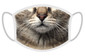 FERA Maschera protettiva a sublimazione gatto