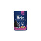 BRIT Premium Cat Adult Salmon and Trout 24 x 100g