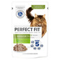 ARION Premium cat senior 10 kg