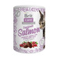 BRIT Care Cat Snack Superfruits Salmon - Friandises croustillantes au Saumon & Superfruits pour chats stérilisés - 100g