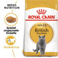 ROYAL CANIN British shorthair 34 10 kg