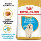 ROYAL CANIN Golden Retriever Junior 1 kg