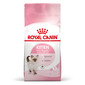 ROYAL CANIN Kitten 36 10 kg