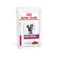 ROYAL CANIN Veterinary Diets Cat Early Renal 12 x 85 g